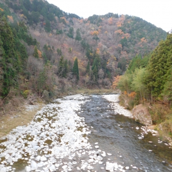 DSCN8738 - コピー.JPG